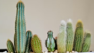 Does penis size matter? And how do I know what’s normal?