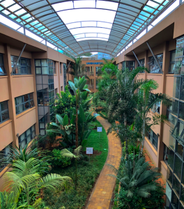 Inside United Nations Office in Nairobi expansion project