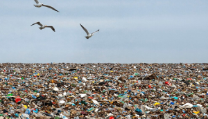 Global plastic talks collapse as countries remain deeply divided