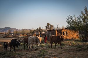 Steep U.S. tariff hits Lesotho’s textile industry hard