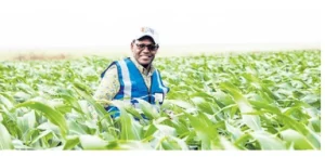 Galana Kulalu gets Sh12.5bn boost as Kenya steps up food security drive