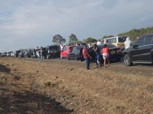 Man causes disruption among major and busy highway after winning jackpot bet