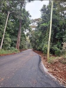 Karura Forest: Why the new management model has raised alarm