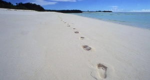 Why a tiny island’s fate could decide Seychelles’ next president