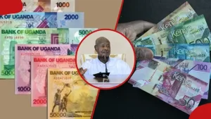 Kenyan Shilling Weakens to Over 1-Year Low Against Ugandan Shilling in September 2025
