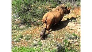 KWS announces new entry fees for National Parks starting October 1