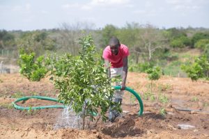 Involve farmers in new technologies, experts urge firms