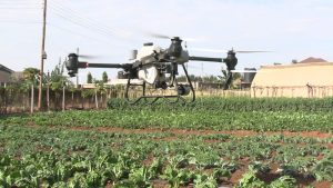 Consider using drones to spray farms, rice farmers urged