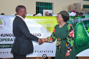 Githunguri eyes avocado farming to tap multibillion-shilling export market