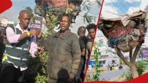 Nairobi Man Living in Treehouse Gets Help from Well-Wisher, New Mkokoteni for Hustling