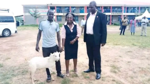 Shock as student walks into college with a goat, seeks admission in West Pokot