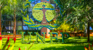 New UNEP report shows more environmental cases being taken to court