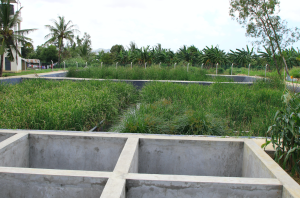 Turning filth into fortune: How wetland project revived Mikindani