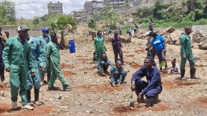 SHOFCO leads 16 CBOs in tree-planting exercise across 7 counties to mark Mazingira Day