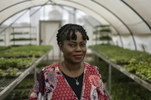 Award-winning Nigerian agronomist dreams of a cassava ‘revolution’