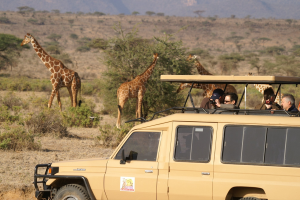 Tourism players protest new KWS park fee payment system
