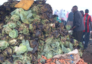 Call for technologies to turn food waste to energy