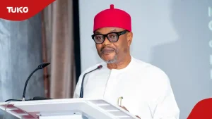 Nigerian Minister Resigns Days after Being Accused of Forging His Academic Credentials