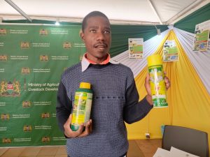 Pyrethrum farming makes a comeback, provides eco-friendly pest control products