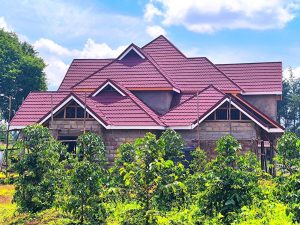 Hii nayo si uji, aseme tu ukweli- Kiambu woman stuns locals after building a manson from Uji Power business