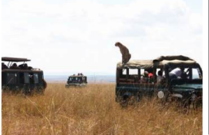 KTB crowned best in Africa, Masai Mara best safari destination