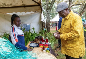 Mudavadi: Why Kenya needs a referendum alongside the 2027 elections