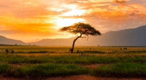 WMO predicts 55% chance of weak La Niña conditions over next 3 months