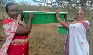 Laikipia women turn beekeeping into a climate resilience and livelihood
