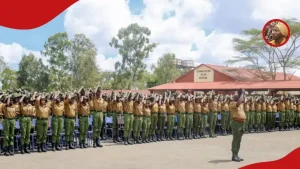 Kenyans Puzzled as Photo of Akurinu Cop Surfaces Online: “Sijawahi Ona”