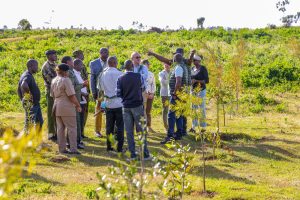 Mau Forest conservation project records 90% tree survival rate