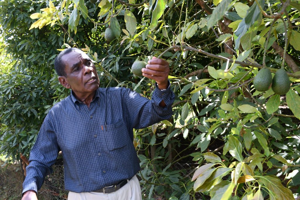 From mystic Jomo to humble Moi and selfless Kibaki, ex-spy narrates life with former presidents