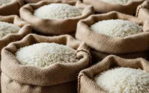 Gov’t allocates Ksh.200M for purchase of rice through SACCOs