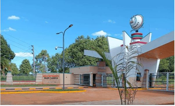 UoN, Moi university Law schools yet to renew licences for degrees — CLE