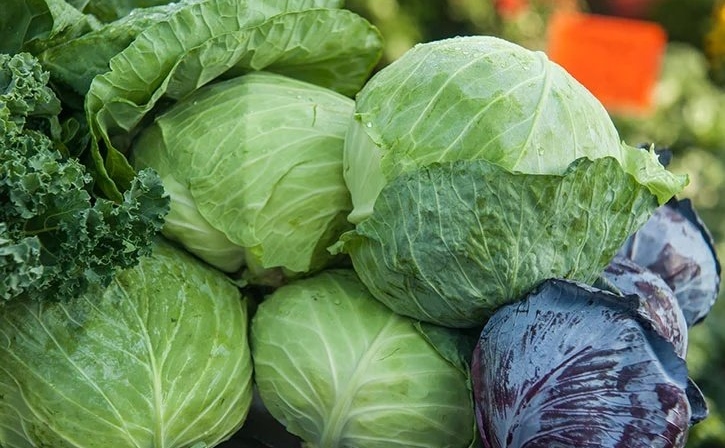 Kenyans Decry Sharp Rise in Cabbage Prices as January Reality Bites