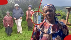 Gatundu Woman Now a Landlady 5 Years After Uhuru Gifted Her Two Cows for Dairy Farming