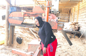 Asals areas new frontier in plan to meet wood shortage