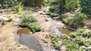 Hunger fears rise in Mbeere North amid acute water shortage