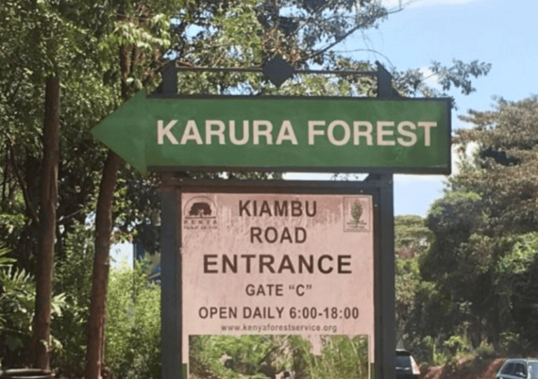 KFS denies encroachment at Karura Forest headquarters
