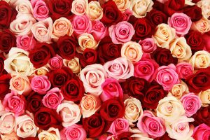 Love on a budget or broke lovers on Valentine’s Day?