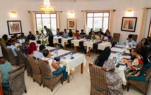 Who will feed Africa? Youth drive new agricultural revolution
