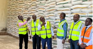 Over 4 million fertiliser bags sold as planting season begins