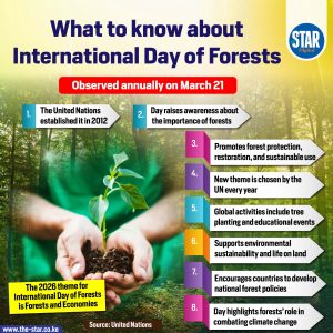 What to Know About International Day of Forests