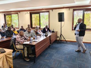 Directors push MPs to avert Sh5bn loss in the tea industry