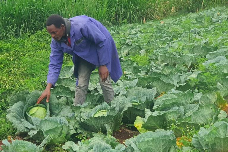 Turning soil into success: Maina’s story of farming innovation