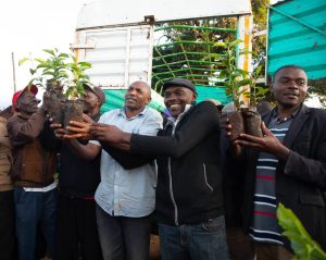 Coffee growers seek boost to Sh6.7bn cherry advance fund