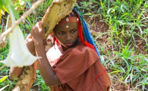 Truphena Muthoni Eyes 1,172 Trees in Brazil World Record Attempt