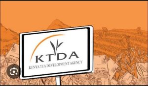 KTDA names Enos Njeru as new chairman