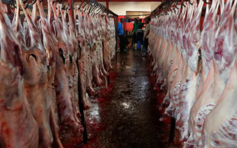 Kenyan meat exporters hit by Middle East conflict as Ramadan shipments slump