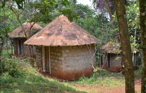 Government plans to rehabilitate Mukurwe wa Nyagathanga