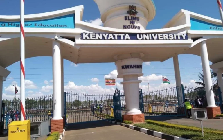 Storm brews in Kenyatta University VC appointments